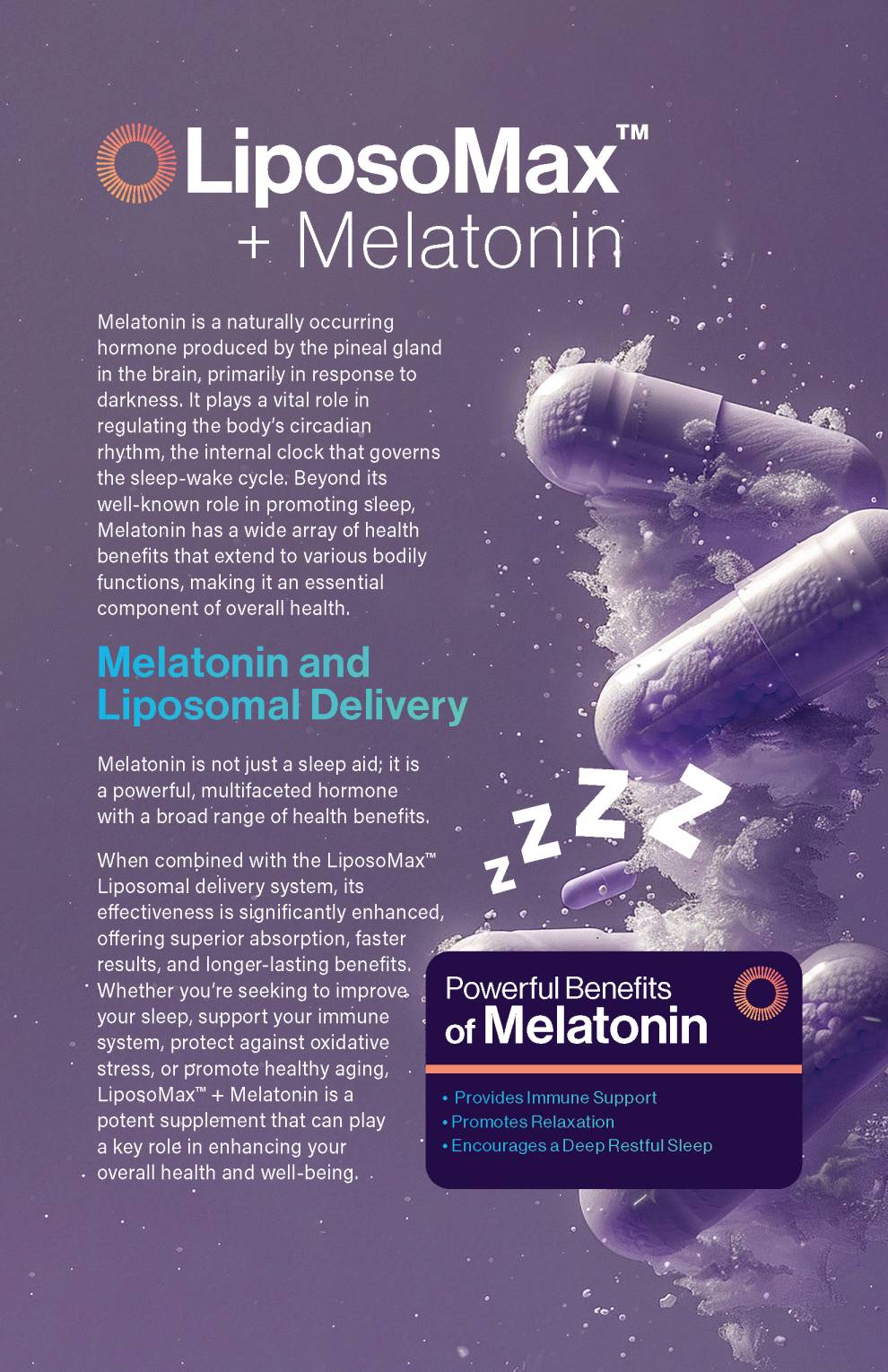 67d925cdac061905559c772e_LiposoMax-SaleSheets_MELATONIN.jpg